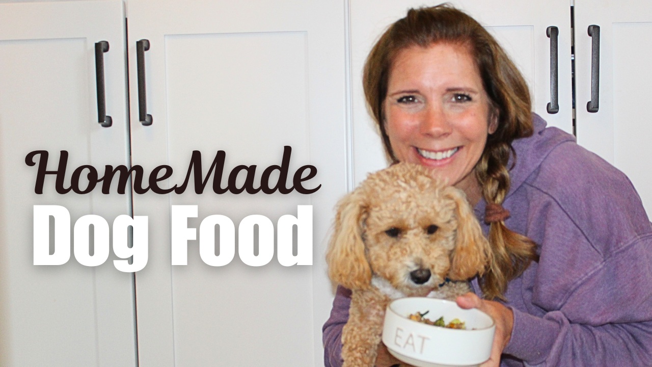 Homemade Dog Food