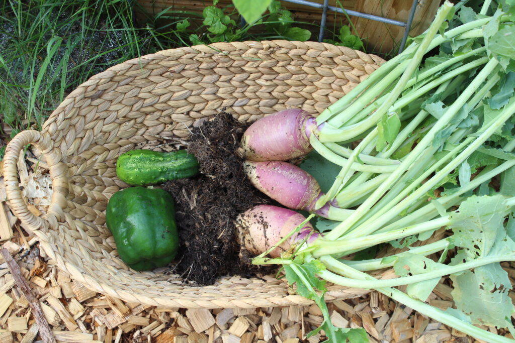 rutabagas and more in a basket